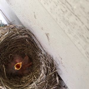 Meet your Posher, Sabrina